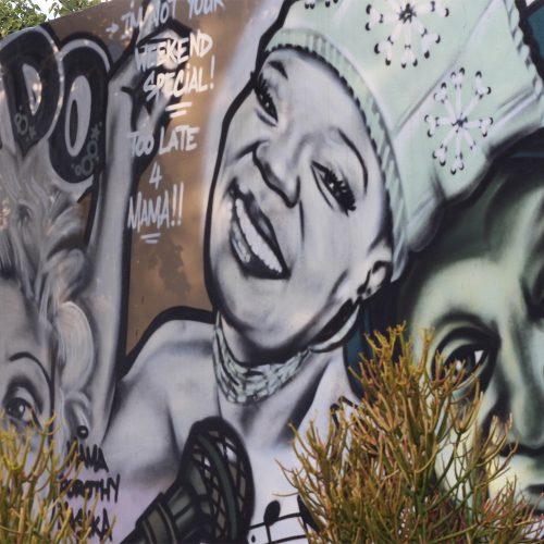 Lucky-Dube,-Dorothy-Masuku,-Brenda-Fassie,-Tshepo-Tshola-South-African-Musician