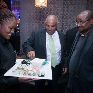 VisionView20150617140