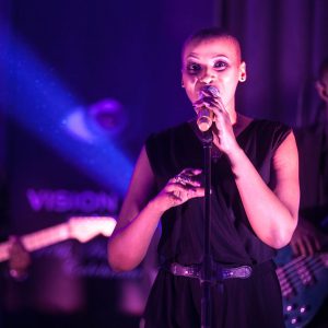 VisionView20150617528