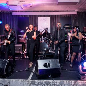 VisionView20150617533