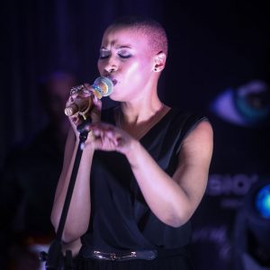 VisionView20150617557